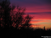 01264sRe - Sunset, at ELM.jpg